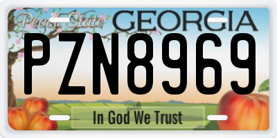 GA license plate PZN8969