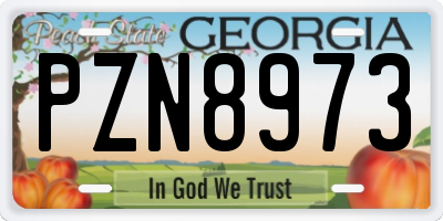 GA license plate PZN8973