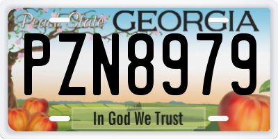 GA license plate PZN8979