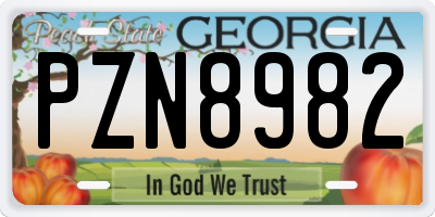 GA license plate PZN8982