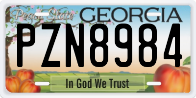 GA license plate PZN8984