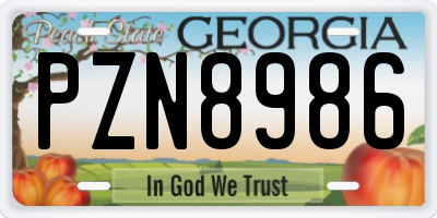 GA license plate PZN8986