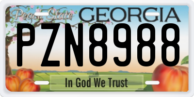 GA license plate PZN8988