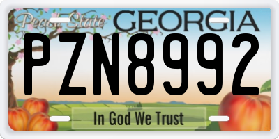 GA license plate PZN8992