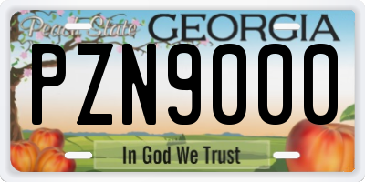 GA license plate PZN9000