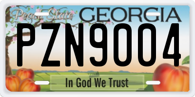 GA license plate PZN9004
