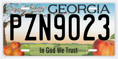 GA license plate PZN9023