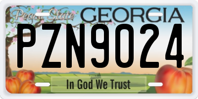 GA license plate PZN9024
