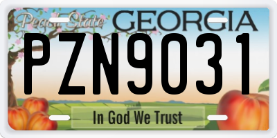 GA license plate PZN9031