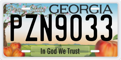 GA license plate PZN9033