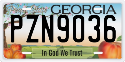 GA license plate PZN9036