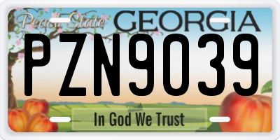 GA license plate PZN9039