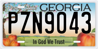 GA license plate PZN9043