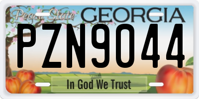 GA license plate PZN9044