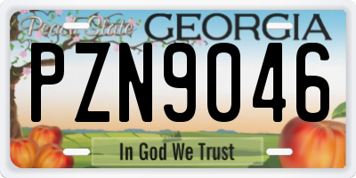 GA license plate PZN9046