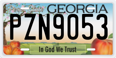 GA license plate PZN9053