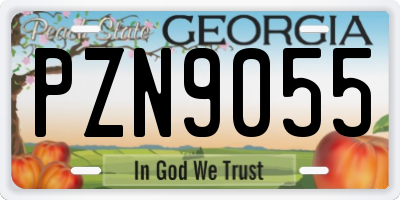GA license plate PZN9055