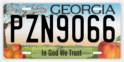 GA license plate PZN9066