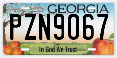 GA license plate PZN9067
