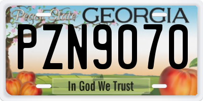 GA license plate PZN9070