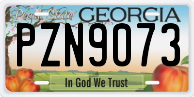 GA license plate PZN9073