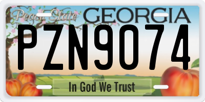 GA license plate PZN9074