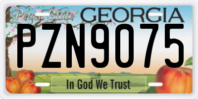 GA license plate PZN9075