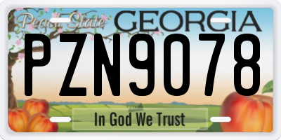 GA license plate PZN9078