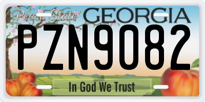 GA license plate PZN9082