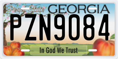 GA license plate PZN9084