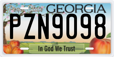 GA license plate PZN9098