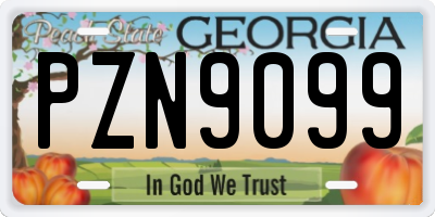 GA license plate PZN9099