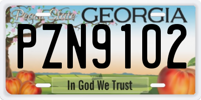 GA license plate PZN9102