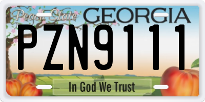 GA license plate PZN9111