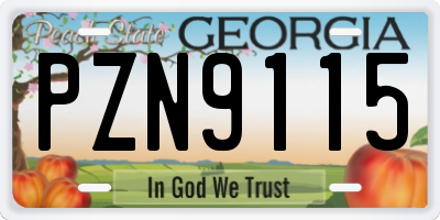 GA license plate PZN9115