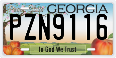 GA license plate PZN9116