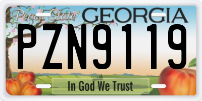 GA license plate PZN9119