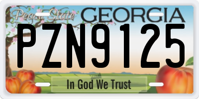 GA license plate PZN9125