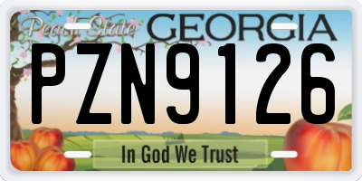 GA license plate PZN9126