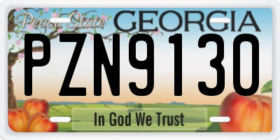 GA license plate PZN9130