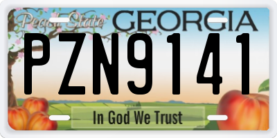 GA license plate PZN9141