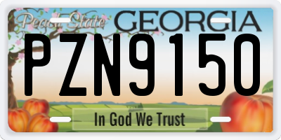 GA license plate PZN9150