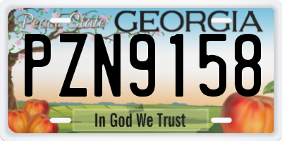 GA license plate PZN9158