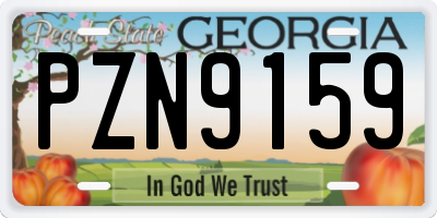 GA license plate PZN9159
