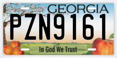 GA license plate PZN9161