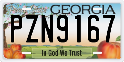 GA license plate PZN9167