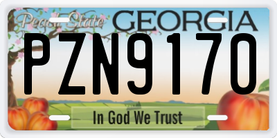 GA license plate PZN9170
