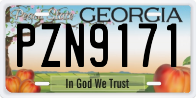GA license plate PZN9171