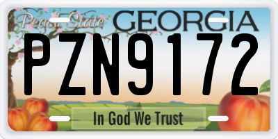 GA license plate PZN9172