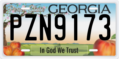 GA license plate PZN9173